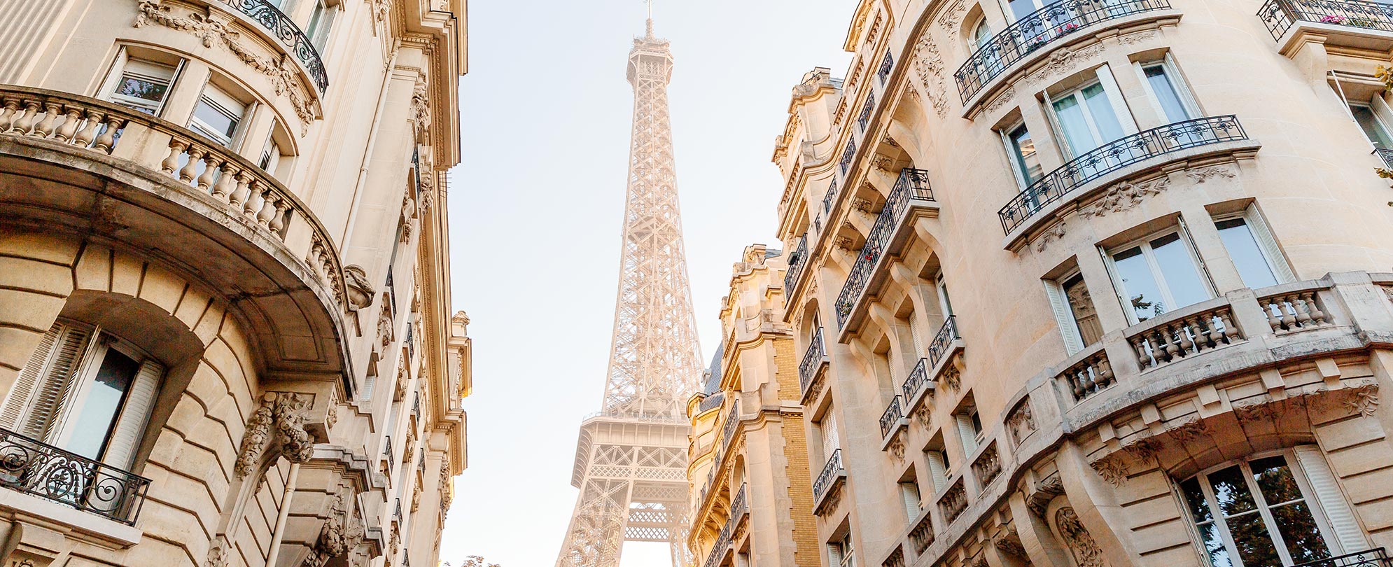 View of the Eiffel Tower and Paris buildings