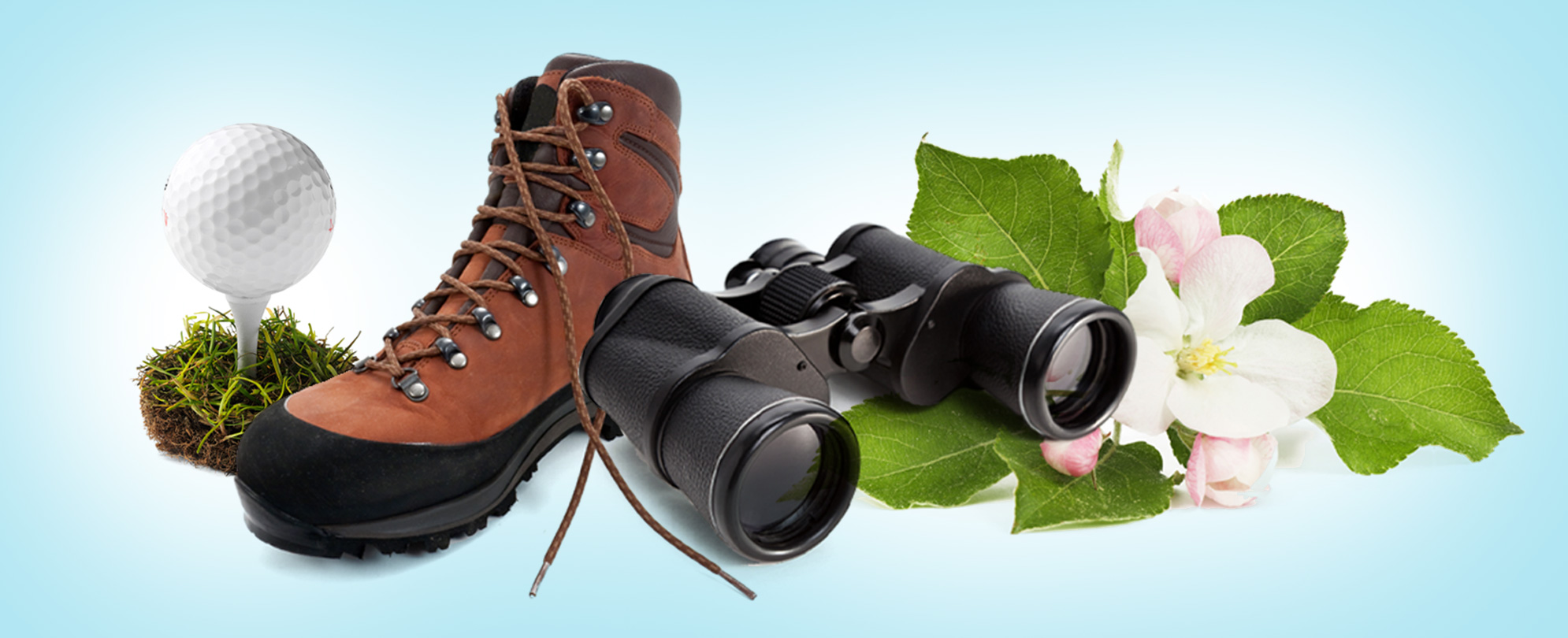 Image collage on light blue background: golf ball on a tee, brown hiking boot, black binoculars, white flower with pink tulips and big green leaves