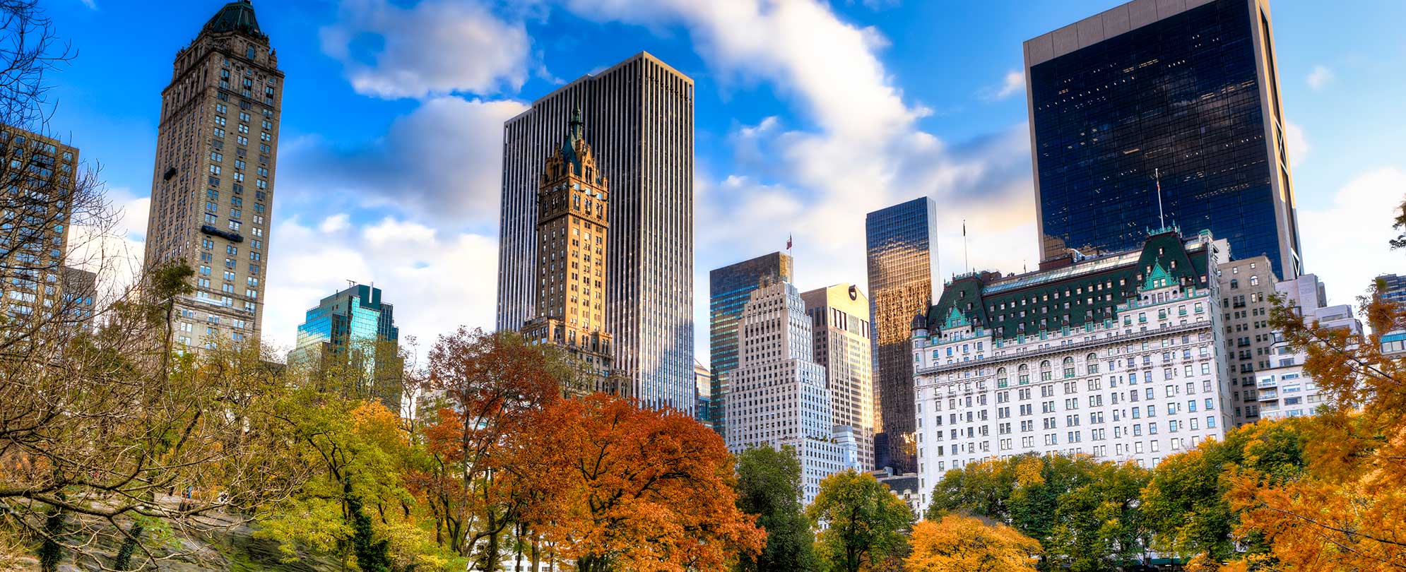 View of downtown New York City from Central Park